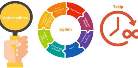 Okul Sonrası Eğitim ve Yetişkinler İçin Kariyer Geliştirme Programları