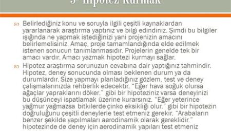 Bilgi Üzerine: Buluş ve Hipotez Perspektifi
