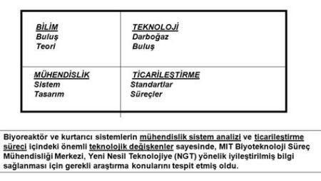 Bilgi Üzerine: Buluş ve Teori Perspektifi