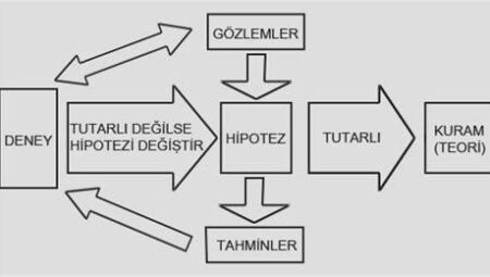 Bilgi Üzerine: Deney ve Veri Perspektifi