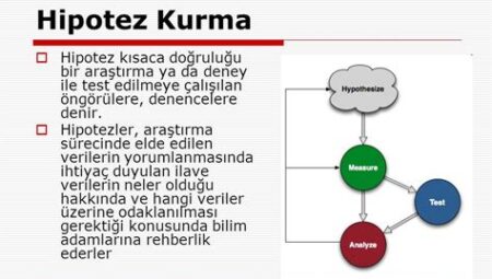 Bilgi Üzerine: Hipotez ve Araştırma Perspektifi