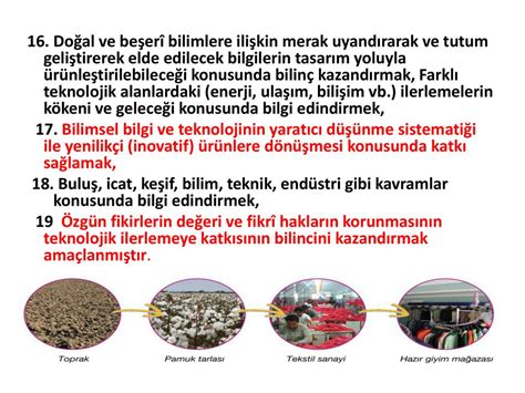 Bilgi Üzerine: Keşif ve Buluş Perspektifi