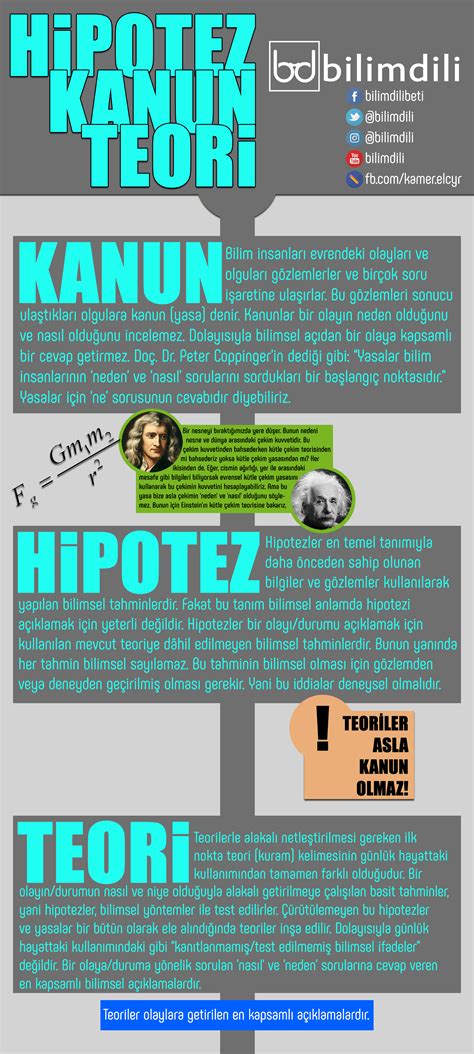 Bilgi Üzerine: Veri ve Hipotez Perspektifi