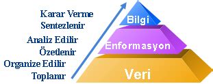 Bilgi Üzerine: Veri ve Merak Perspektifi