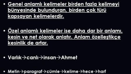 Genel Kültür Üzerine: Anlam ve Bilgelik Perspektifi