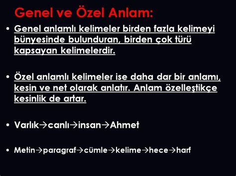 Genel Kültür Üzerine: Anlam ve Bilgelik Perspektifi