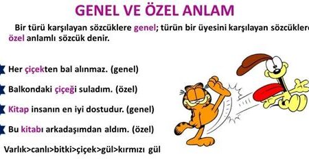 Genel Kültür Üzerine: Anlam ve Dil Perspektifi