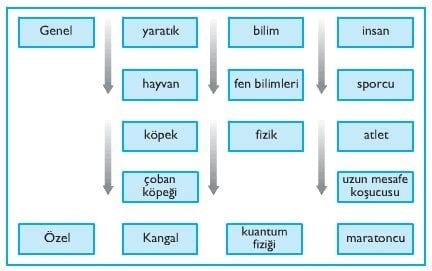 Genel Kültür Üzerine: Anlam ve Gelenek Perspektifi