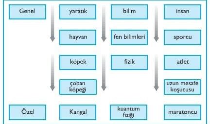Genel Kültür Üzerine: Anlam ve Kültür Mirası Perspektifi