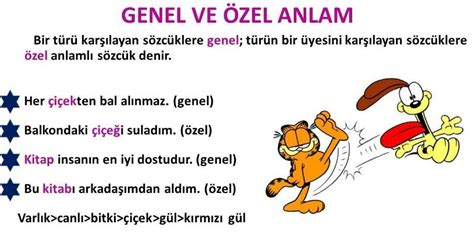 Genel Kültür Üzerine: Anlam ve Sanat Perspektifi