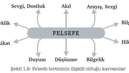 Genel Kültür Üzerine: Felsefe ve Bilgelik Perspektifi