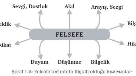 Genel Kültür Üzerine: Felsefe ve Bilgelik Perspektifi
