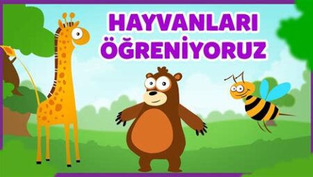 Hayvanlar Alemi Üzerine: Barınma ve Göç Perspektifi