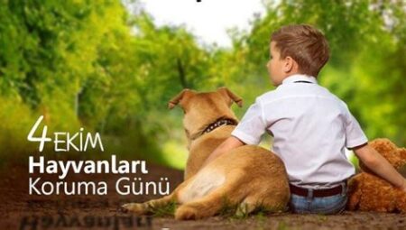 Hayvanlar Alemi Üzerine: Göç ve Tür Koruma Perspektifi
