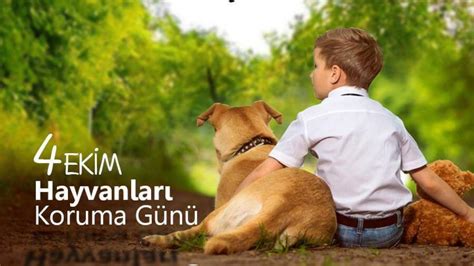 Hayvanlar Alemi Üzerine: Göç ve Tür Koruma Perspektifi