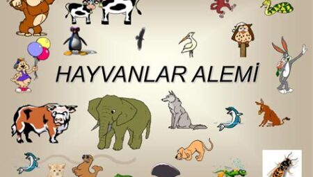 Hayvanlar Alemi Üzerine: Kuşlar ve Barınma Perspektifi
