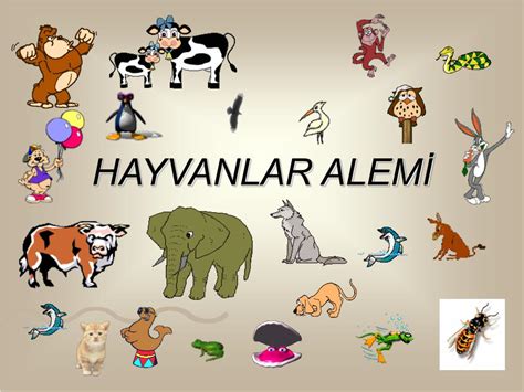 Hayvanlar Alemi Üzerine: Kuşlar ve Barınma Perspektifi
