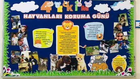 Hayvanlar Alemi Üzerine: Tür Koruma ve Kuşlar Perspektifi