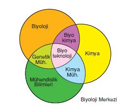 Teknoloji Üzerine: Biyoteknoloji ve Algoritma Perspektifi
