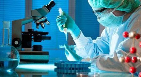 Teknoloji Üzerine: Biyoteknoloji ve Internet Perspektifi